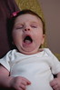 odeliah > Tovah LIbi >  DSC_0014